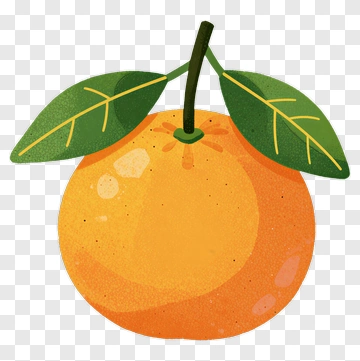 Orange With Green Leaves PNG