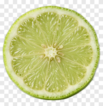 Fresh Lime Slice PNG