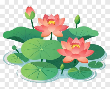 Colorful Water Lilies On A Pond PNG