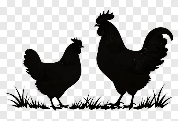 Silhouette Rooster And Hen PNG