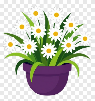 Flower Pot With White Daisies PNG