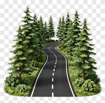 Curved Road Through A Forest PNG