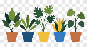 Potted Plants In Colorful Pots PNG