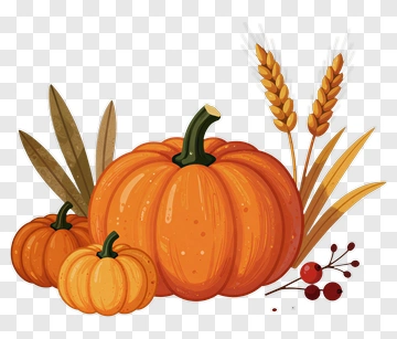 Pumpkin And Wheat Arrangement PNG