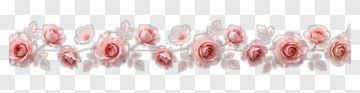 Pink Rose Floral Border PNG