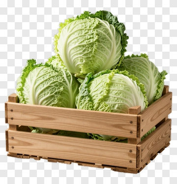 Fresh Cabbage In A Wooden Crate PNG