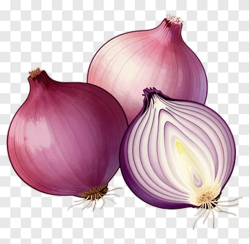 Red Onion Composition PNG