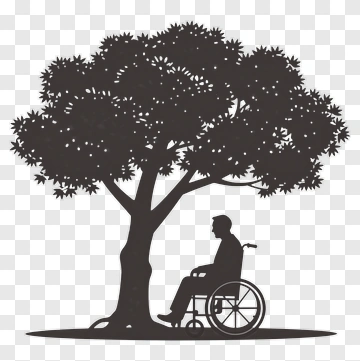 Silhouette Of A Person In A Wheelchair Under A Tree PNG