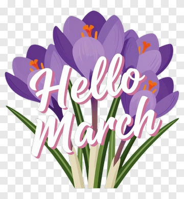Hello March Floral Arrangement PNG