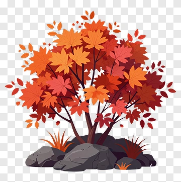 Colorful Autumn Tree With Rocks PNG