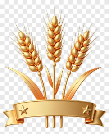 Golden Wheat Sheaf With Ribbon PNG