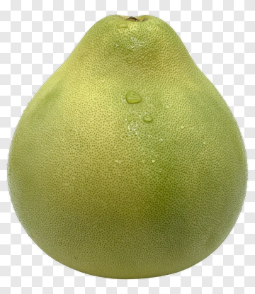 Green Pomelo PNG
