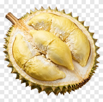 Durian Fruit With Yellow Flesh PNG