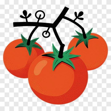 Colorful Tomato Cluster PNG