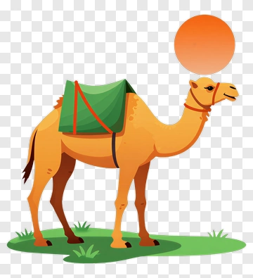 Cartoon Camel Standing On Grass PNG