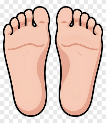 Cartoon Feet PNG