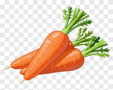 Fresh Carrots With Green Tops PNG