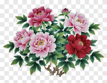 Colorful Peony Flower Bouquet PNG