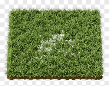 Lush Green Grass Patch PNG