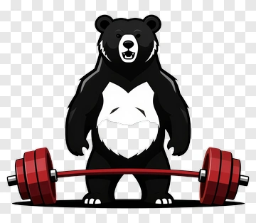 Cartoon Bear Lifting Weights PNG