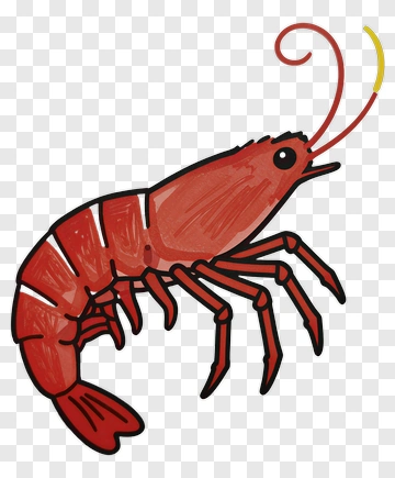 Cartoon Shrimp PNG