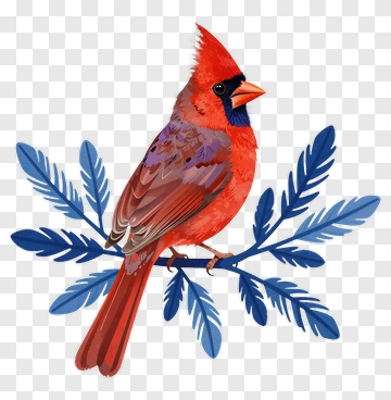 Colorful Cardinal Bird On Blue Leaves PNG
