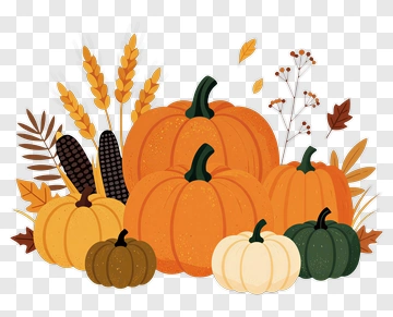 Colorful Pumpkin Arrangement With Autumn Leaves PNG