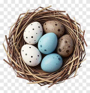 Colorful Easter Eggs In A Nest PNG