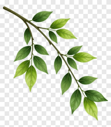 Green Leafy Branch PNG