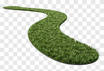 Curved Green Grass Pathway PNG