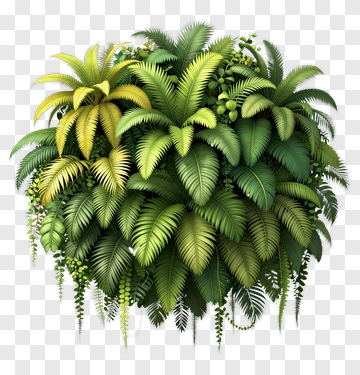 Lush Tropical Foliage PNG