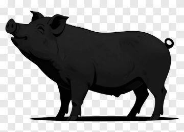 Black Pig Silhouette PNG