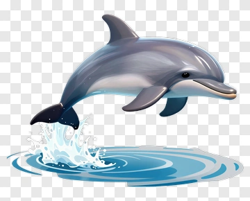 Cartoon Dolphin Jumping Out Of Water PNG