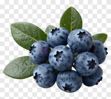 Fresh Blueberries With Leaves PNG