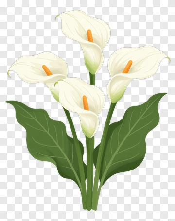 Flower Bouquet With Calla Lilies PNG