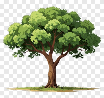 Colorful Tree PNG