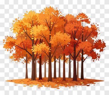 Colorful Autumn Forest PNG