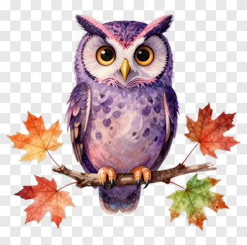 Colorful Owl Sitting On A Branch With Autumn Leaves PNG