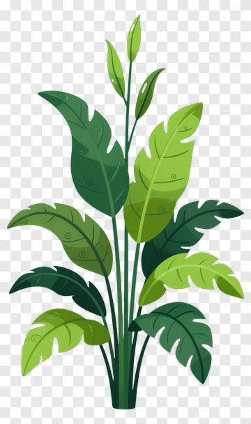 Colorful Plant With Green Leaves PNG