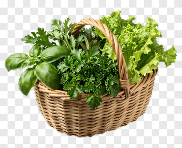Basket Of Fresh Greens PNG