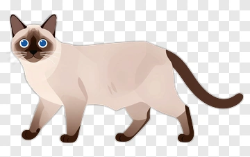 Cartoon Siamese Cat PNG