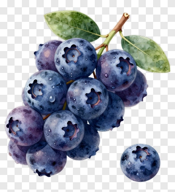Fresh Blueberries With Leaves PNG