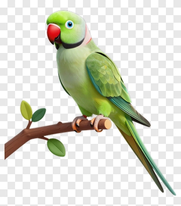 Colorful Parrot Sitting On A Branch PNG