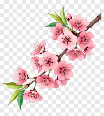 Cherry Blossom Branch PNG