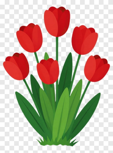 Red Tulip Bouquet PNG