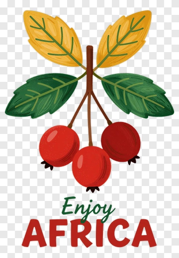 Enjoy Africa Fruit With Leaves PNG