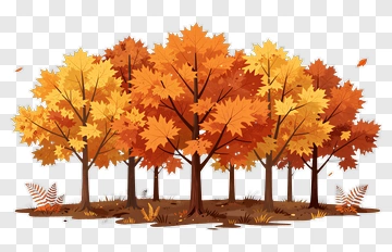 Colorful Autumn Forest PNG