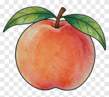 Watercolor Peach With Leaves PNG