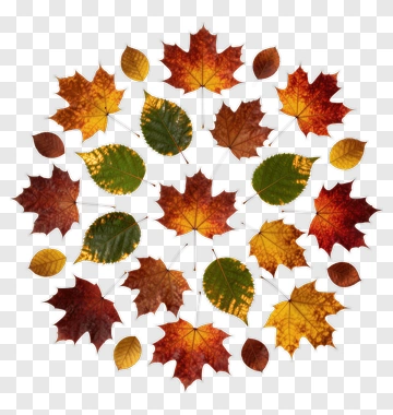 Autumn Leaves Arrangement PNG