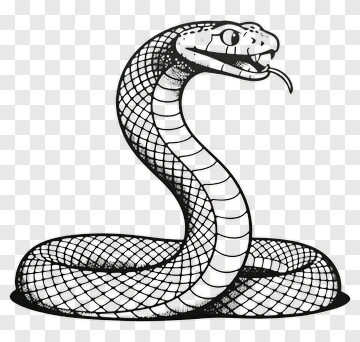 Black And White Cobra Snake Illustration PNG